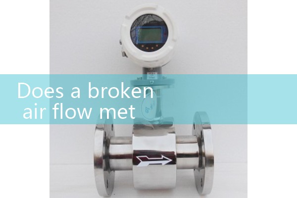 Steam flow meter